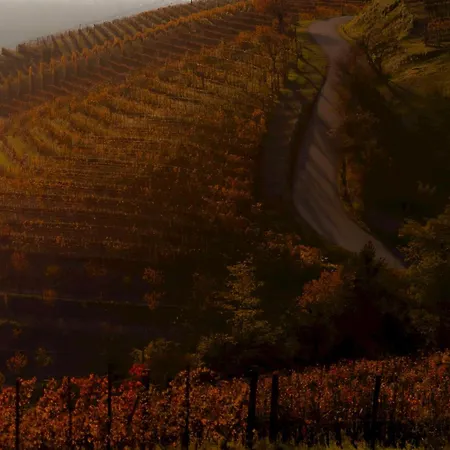 فندق Relais Dei Poderi Einaudi دولياني